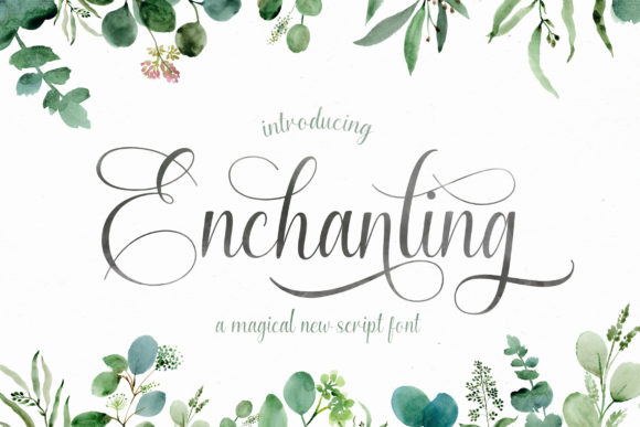 Enchanting Script: Crafting Timeless Brand Identities
